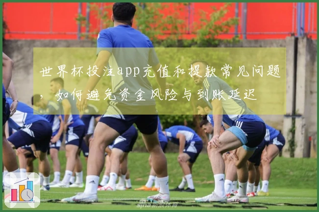 世界杯投注app充值和提款常见问题，如何避免资金风险与到账延迟