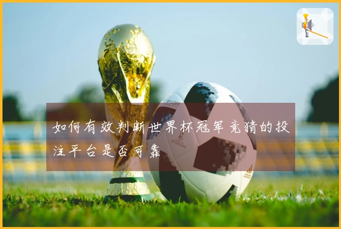 如何有效判断世界杯冠军竞猜的投注平台是否可靠