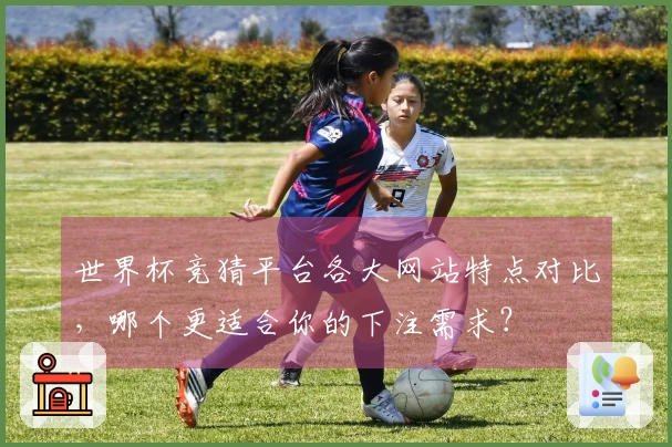 世界杯竞猜平台各大网站特点对比，哪个更适合你的下注需求？